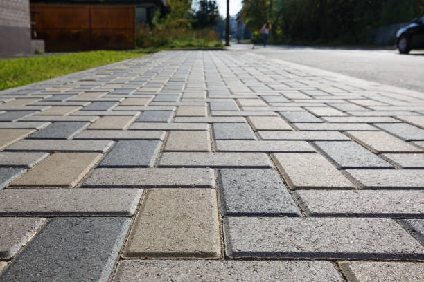 Best Driveway Pavers for Homes  in Susitna North, AK